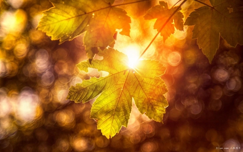 閬中野炊哪里好玩（閬中野炊的好地方）