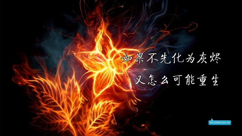 創意公司怎么起名好聽點(創意的公司) 創意公司怎么起名好聽點(創意的公司)