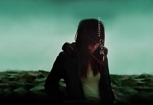 狼王夢中的好詞好句及感受