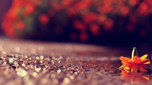 dmm有什么手游推薦 dmm有什么手游推薦