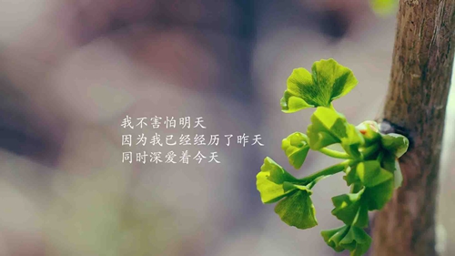 祝福朋友孫子滿月的吉祥話