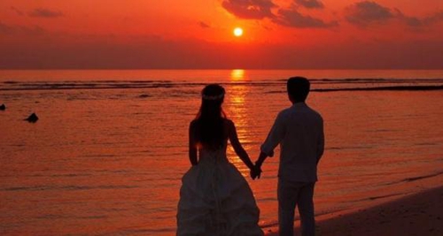 雨林生存手游推薦雙人玩