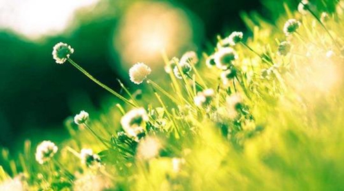 比喻自己的教師節(jié)短信