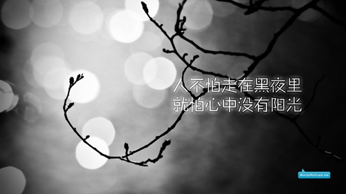 手游狐貍可以打野嗎現在