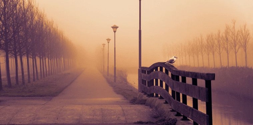 寶貝兒滿月祝福語