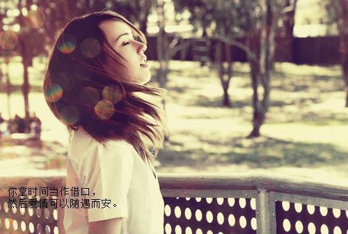 茶和花主題名字