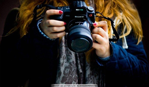 表白愛情的經典語句 表白愛情的經典語句