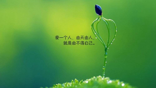 倩女手游可以卡級嗎