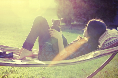 狗子配對小游戲叫什么