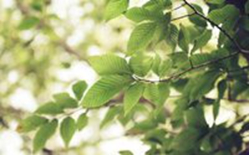 《25句滿載祝福的金句，讓心情瞬間飛揚》