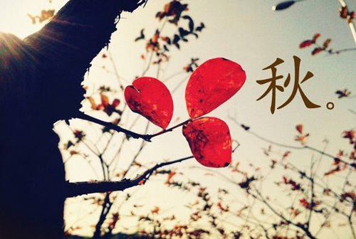 大皇帝頁游平民升級攻略 大皇帝頁游平民升級攻略