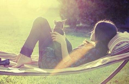 工作拜年文案（推薦10句工作的拜年短信）