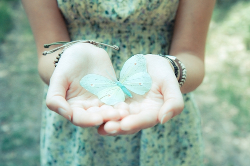 《藏語(yǔ)的祝福語(yǔ)大全》精選10句：傳統(tǒng)智慧與現(xiàn)代情感的完美融合