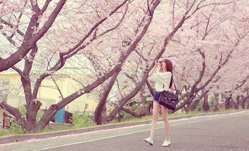 《祝福侄子19歲生日快樂的句子》　　姐的幸福、下落不明短信