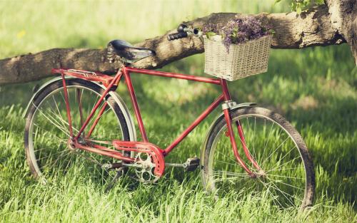 開美食店：新手創業者的必經之路